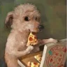cheeseandolives